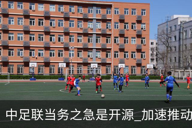 中足联当务之急是开源 加速推动中国足球职业化