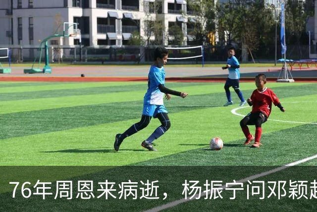 76年周恩来病逝，杨振宁问邓颖超：总理明知生病为何不让他休息？